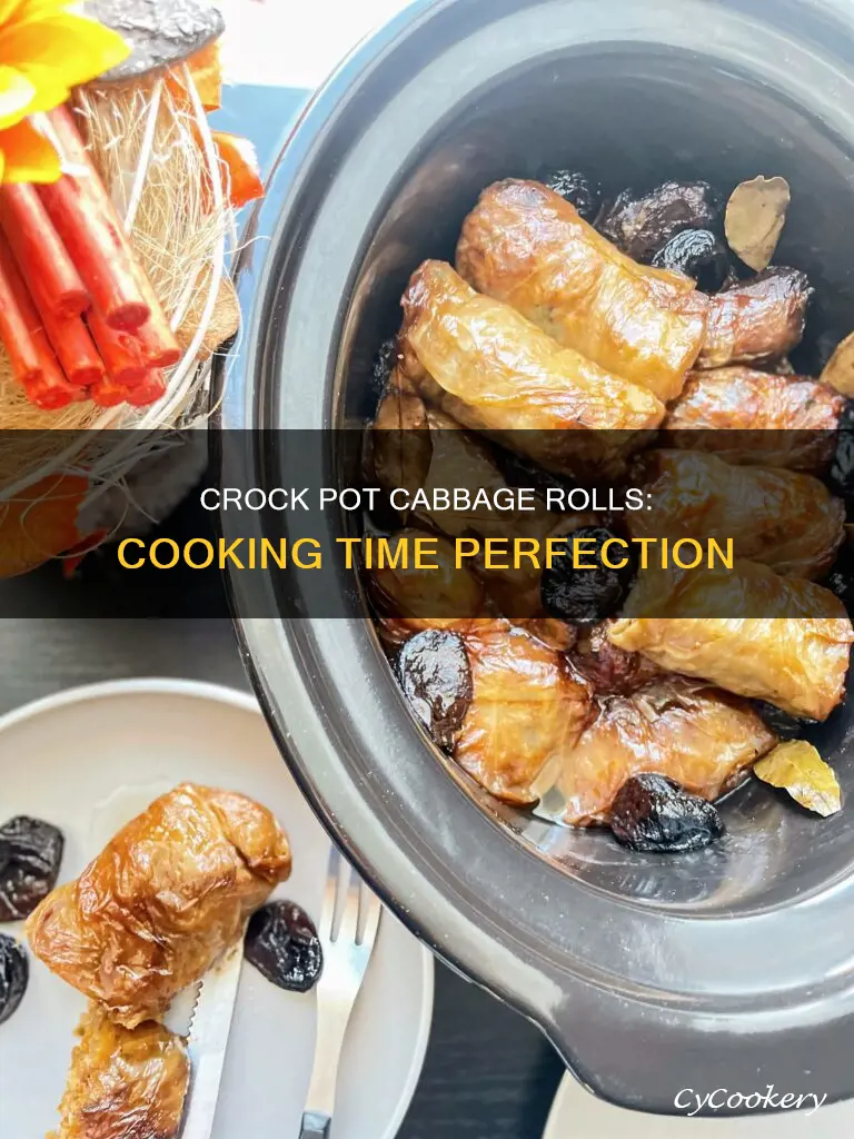 how long to cook cabbage rolls in crock pot