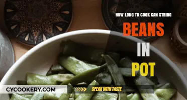 Steaming String Beans: How Long Until They're Tender?