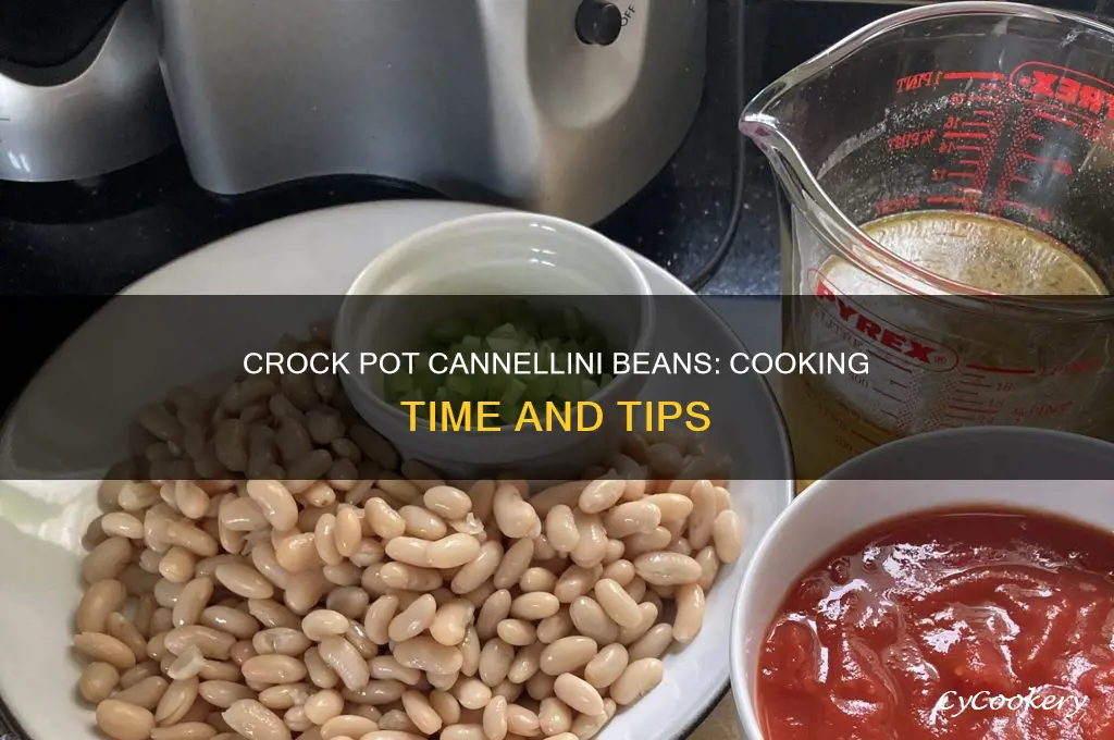 how long to cook cannellini beans in crock pot