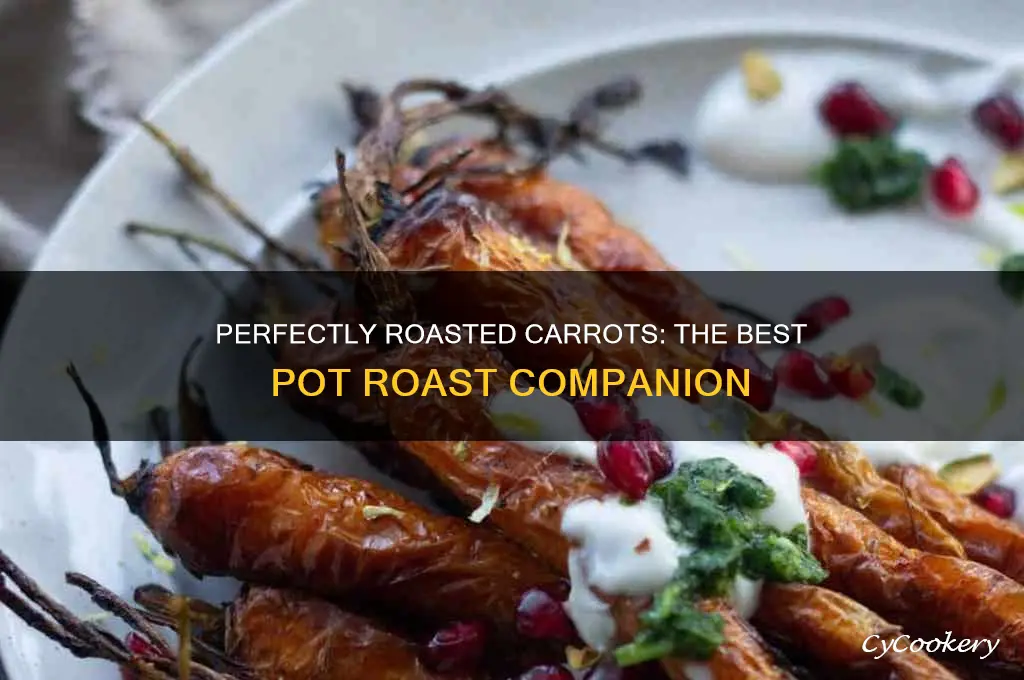 how long to cook carrots in oven for pot roast