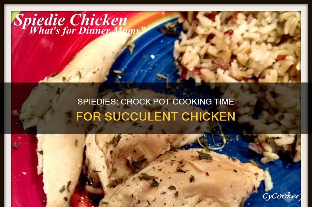 how long to cook chicken spiedies in crock pot