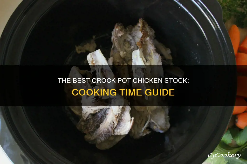 how long to cook chicken stock in crock pot