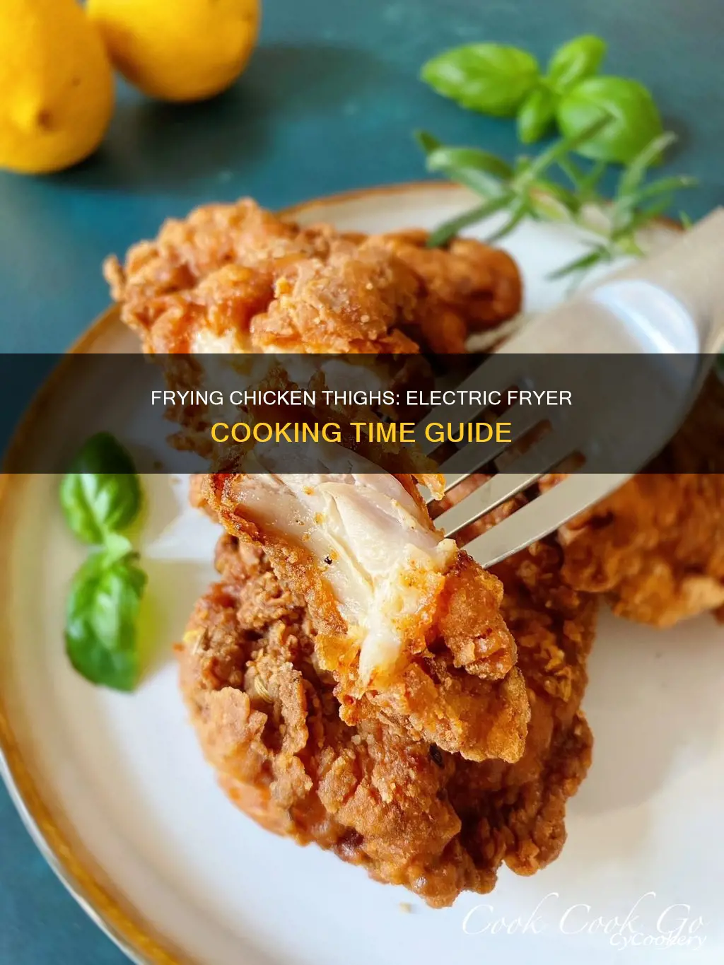 how long to cook chicken thighs in electric fryer