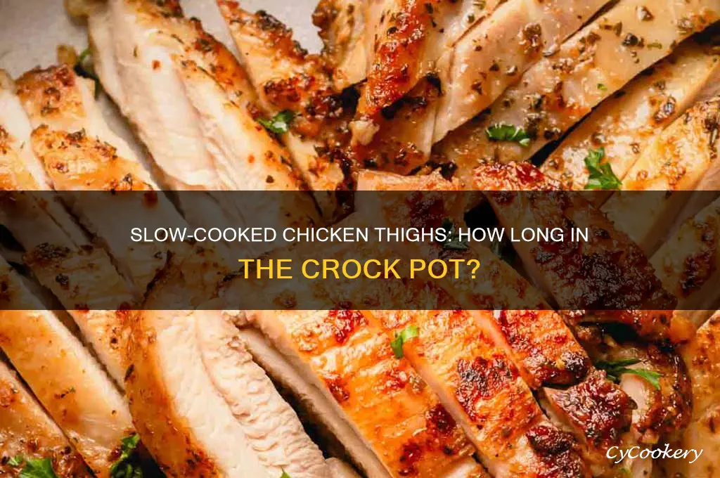 how long to cook chicken thighs in tge crook pot