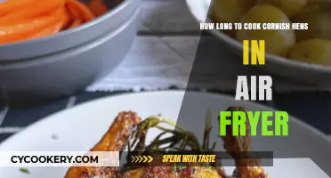 Perfectly Cooked Cornish Hens: Air Fryer Time Guide