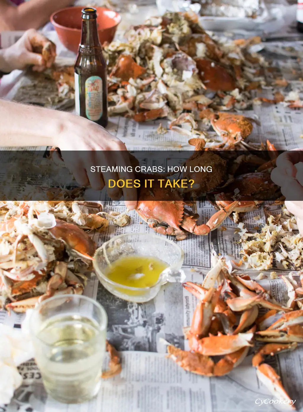 how long to cook crabs in steamer