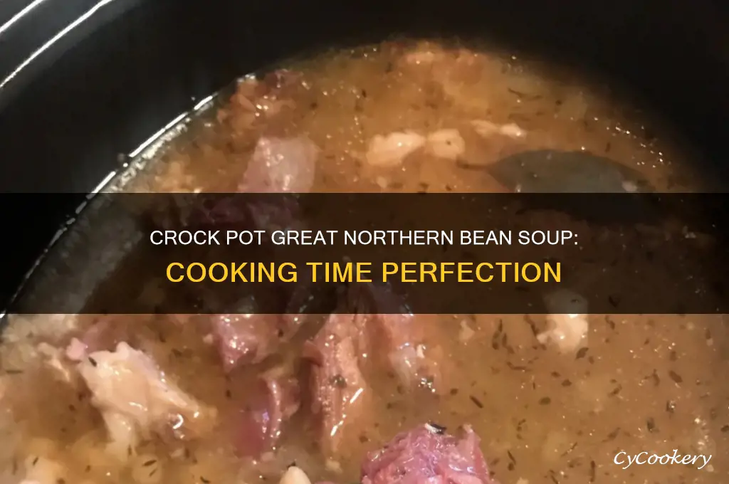 how long to cook crock pot beans soup great northern