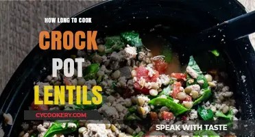 Lentils in a Crock Pot: How Long to Cook?