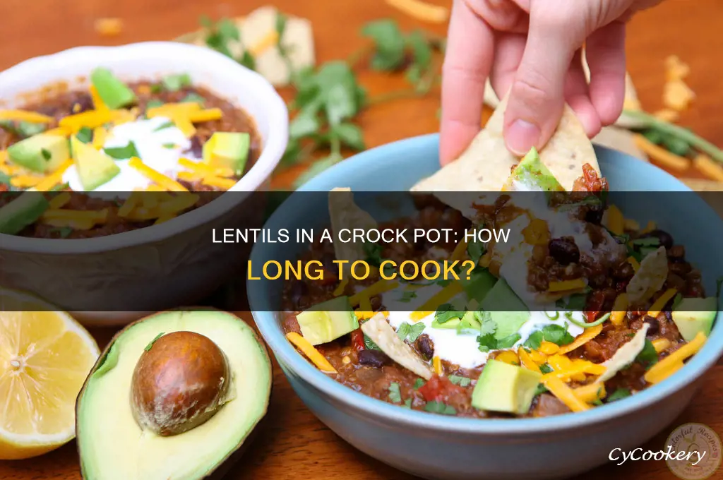 how long to cook crock pot lentils