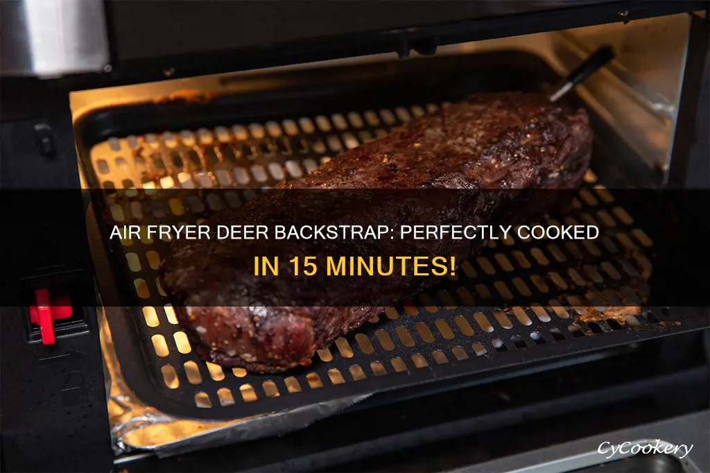 how long to cook deer backstrap in air fryer