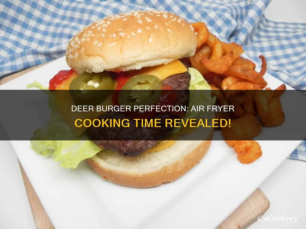 how long to cook deer burger in air fryer