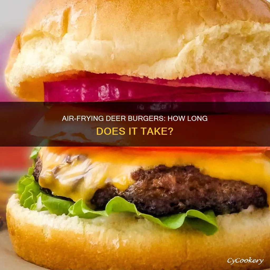 how long to cook deer burger in air fryer