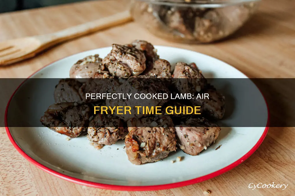 how long to cook diced lamb in air fryer