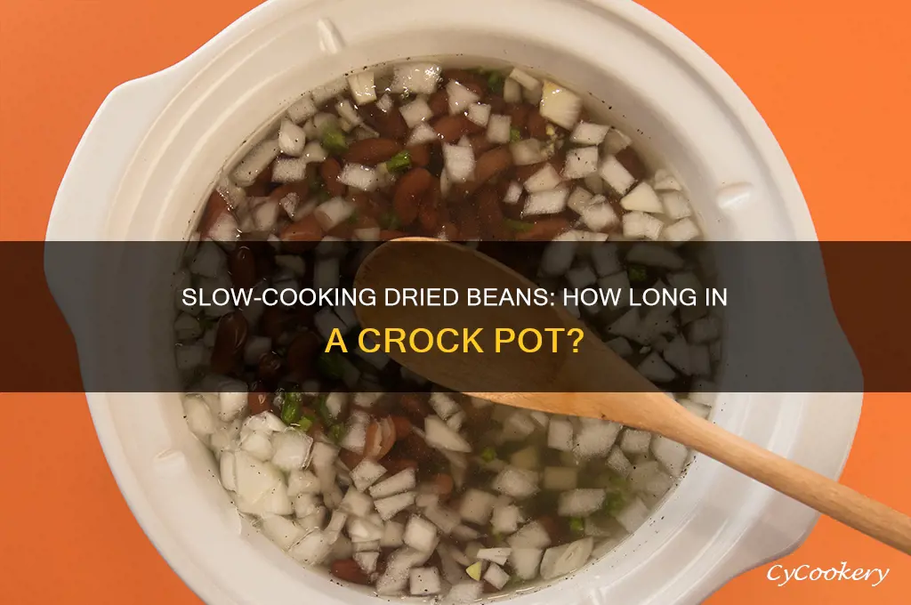 how long to cook dried beans in a crock pot