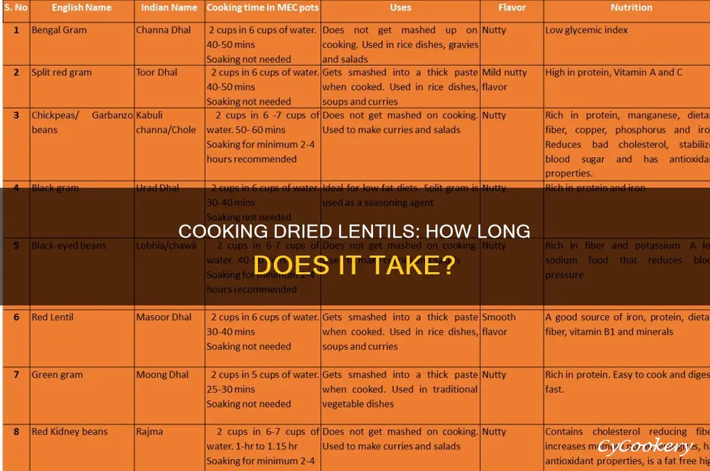 how long to cook dried lentils in a pot