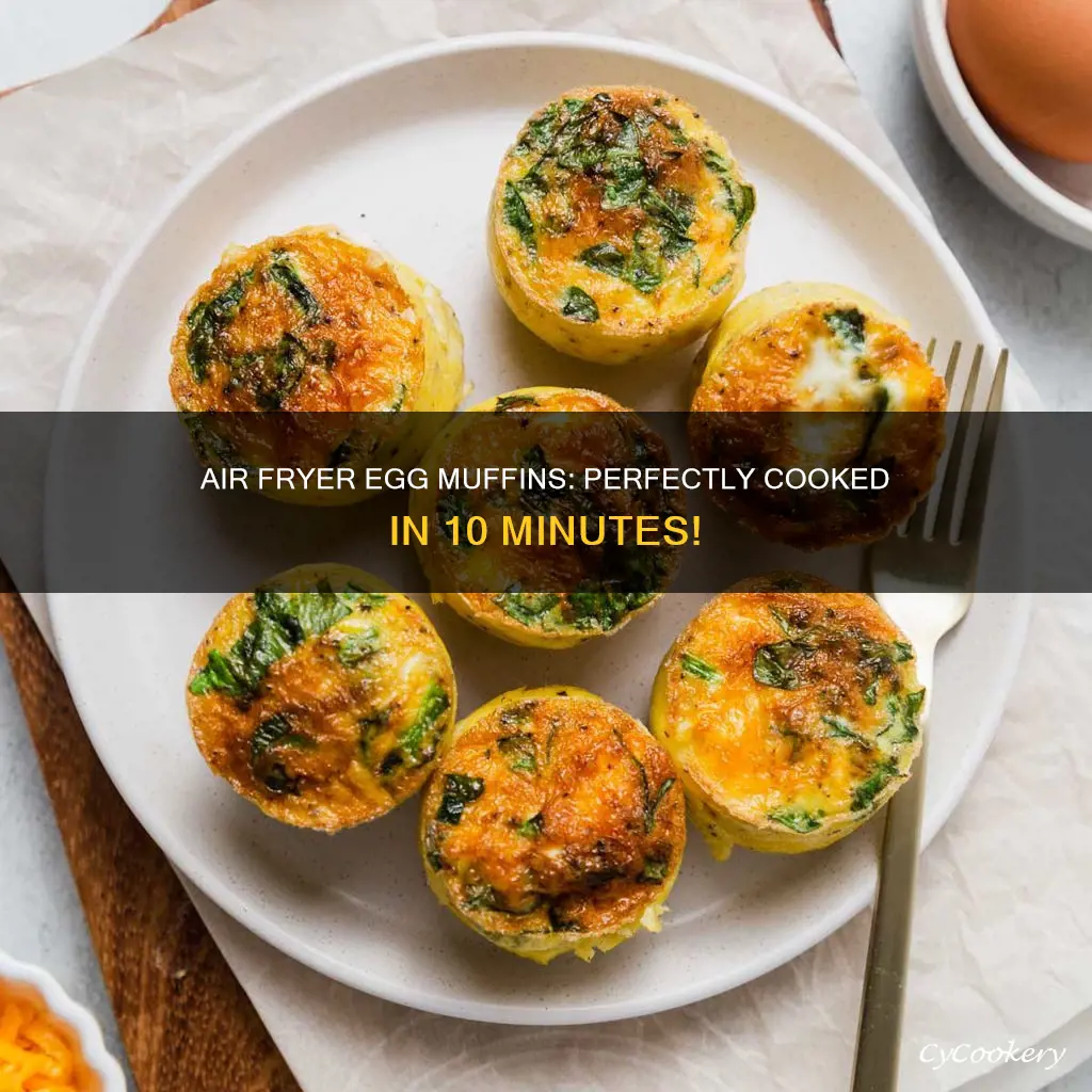 how long to cook egg muffins in air fryer