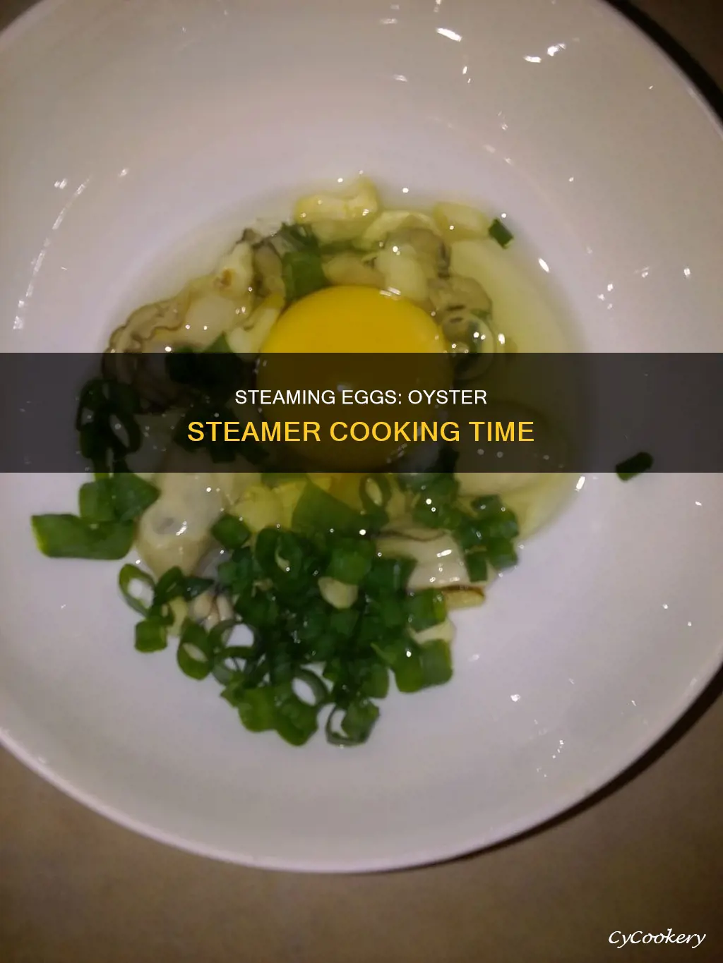 how long to cook eggs in oyster steamer