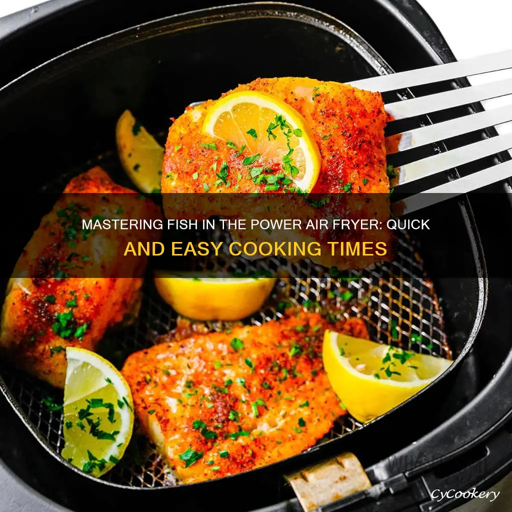 how long to cook fish in a power air fryer