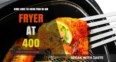 Perfectly Cooked Fish: Air Fryer Tips for 400°F