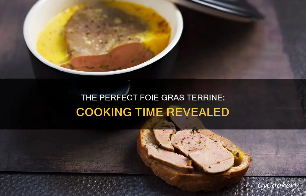 how long to cook foie gras terrine