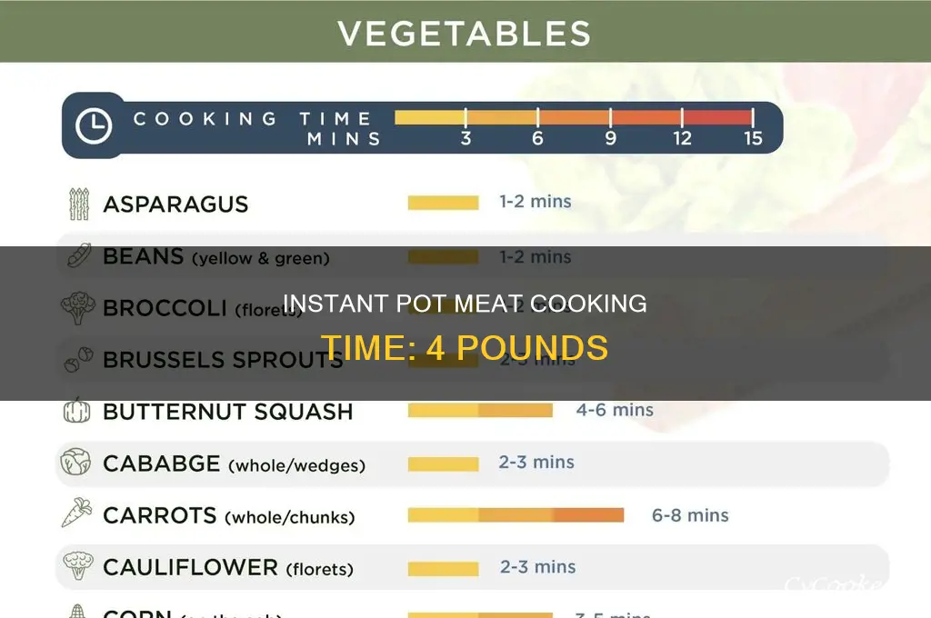 how long to cook four lbs meat indtant pot