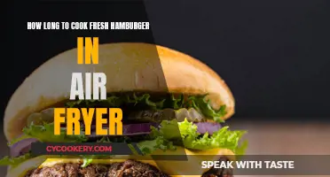 Air Fryer Hamburgers: Cooking Time for Fresh Patties