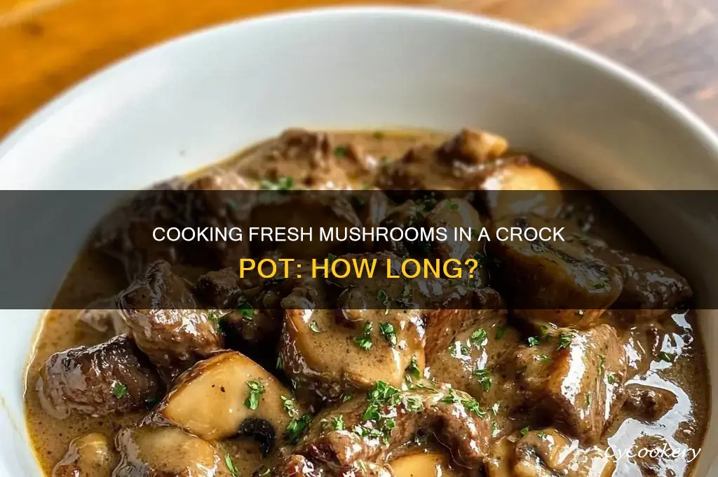 how long to cook fresh mushrooms in crock pot