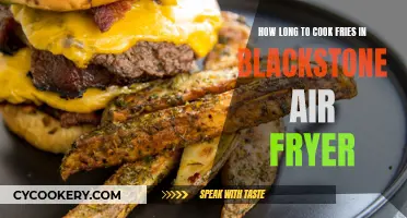 Mastering the Perfect Fry: Blackstone Air Fryer Tips