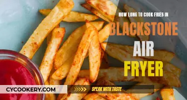 Perfectly Cooked Fries: Blackstone Air Fryer Timing