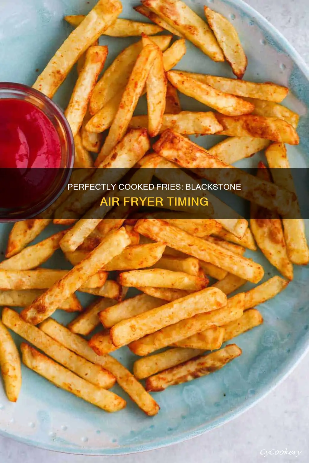 how long to cook fries in blackstone air fryer