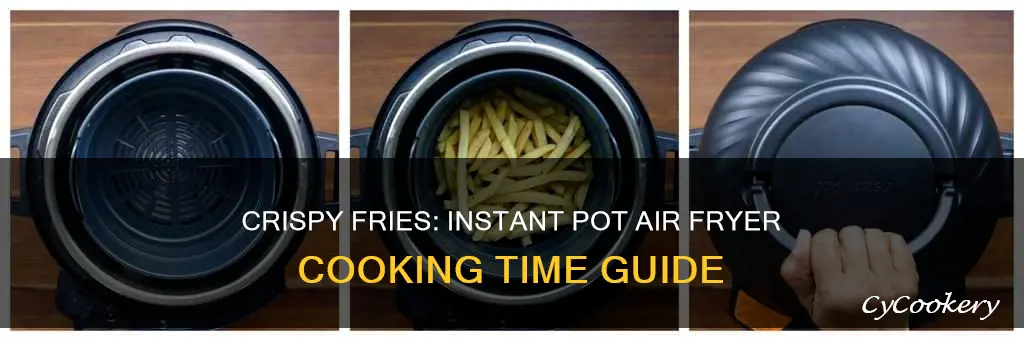 how long to cook fries in instant pot air fryer