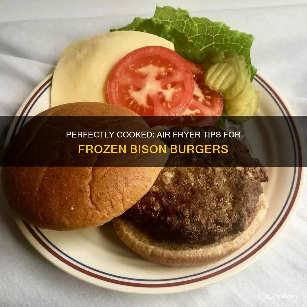 how long to cook frozen bison burgers in air fryer