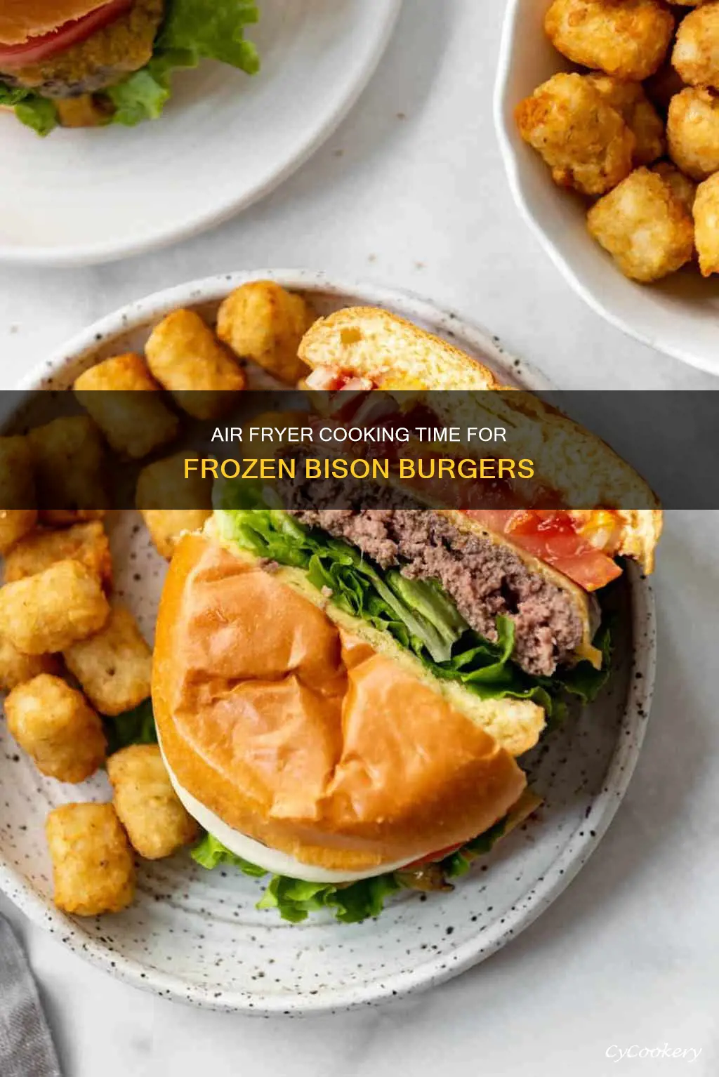 how long to cook frozen bison burgers in air fryer
