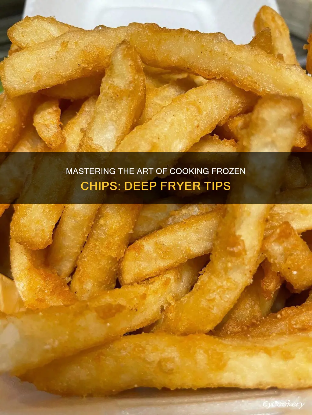 how long to cook frozen chips in deep fat fryer