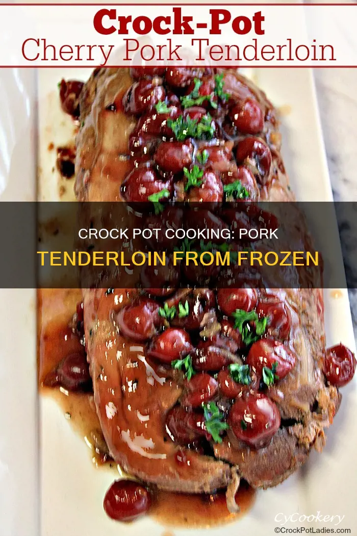 how long to cook frozen pork tenderloin in crock pot