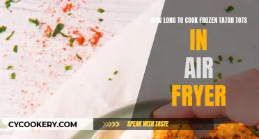 Air Fryer Hack: Frozen Tater Tots, Quick Cook Time