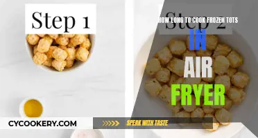 Air Fryer Hack: Frozen Tots, Crispy and Quick