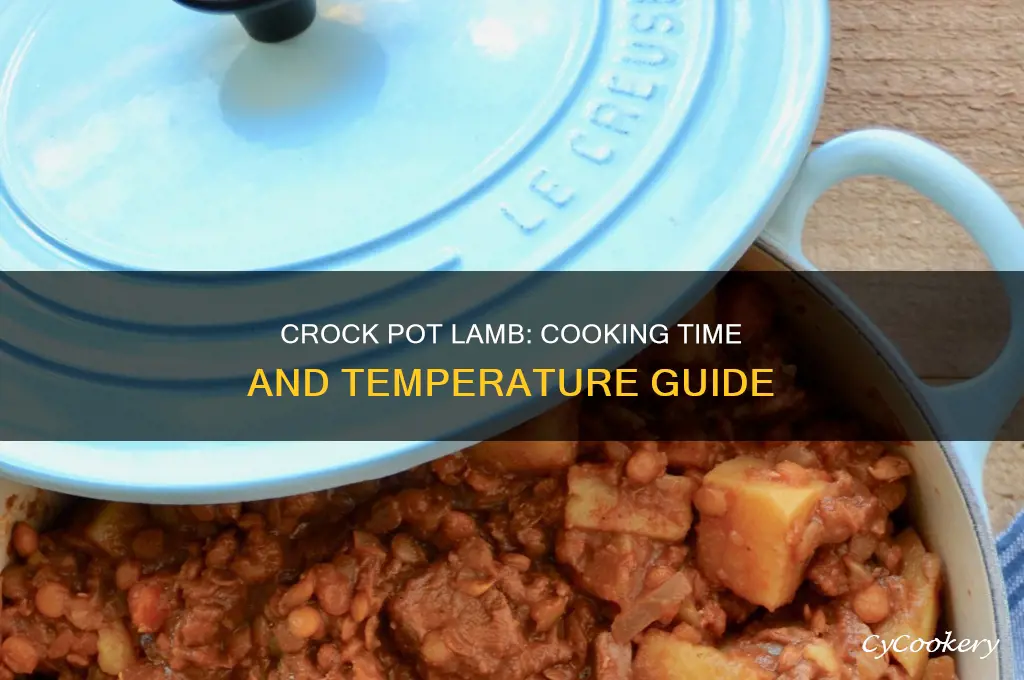 how long to cook ground lamb in crock pot