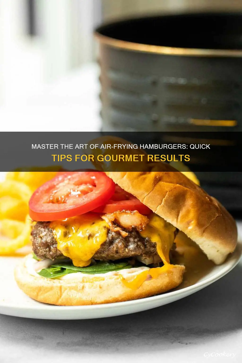 how long to cook hamburgers in gourmia air fryer