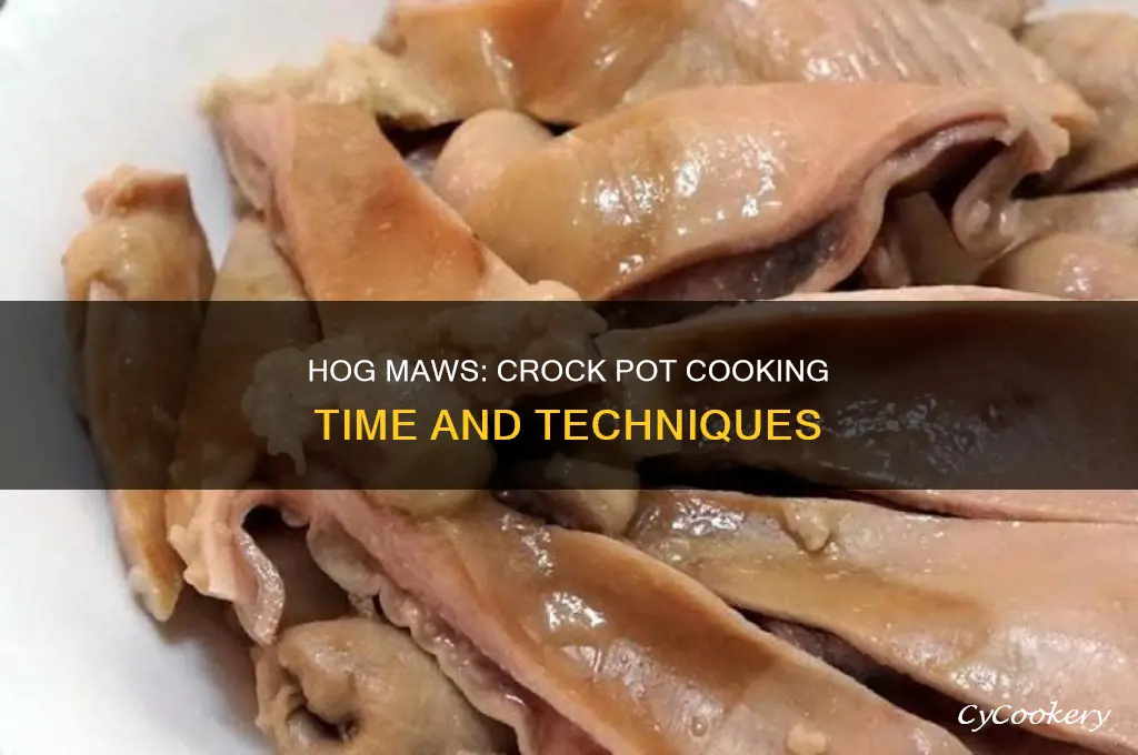 how long to cook hog maws in a crock pot