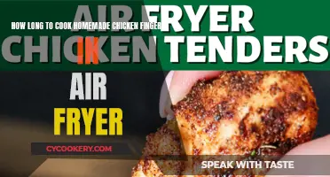 Air Fryer Chicken Fingers: Quick, Crispy, and Delicious!