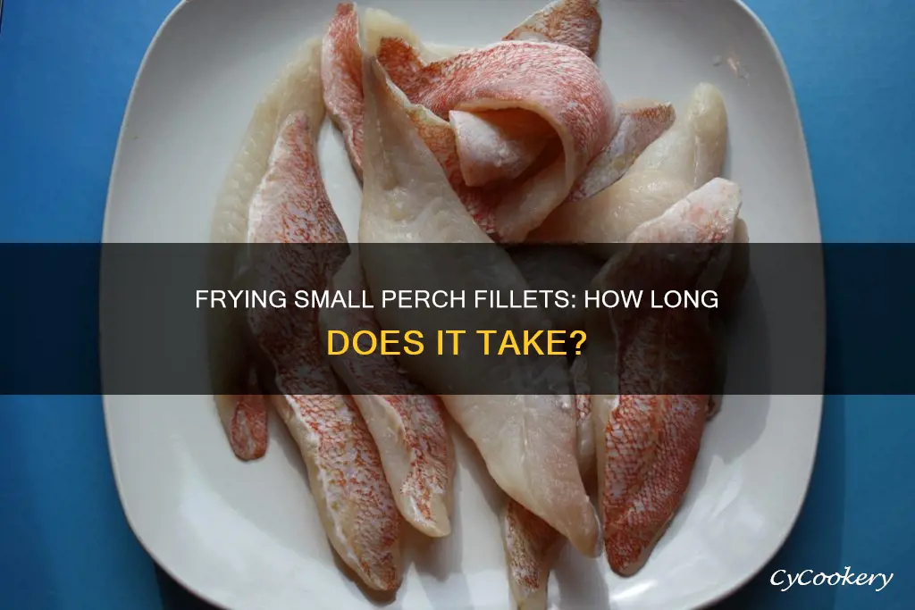 how long to cook in a fryer small perch fillets