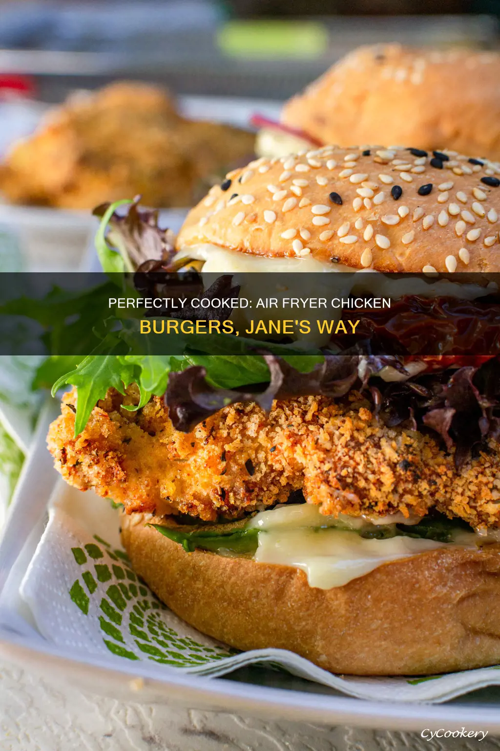 how long to cook janes chicken burgers in air fryer