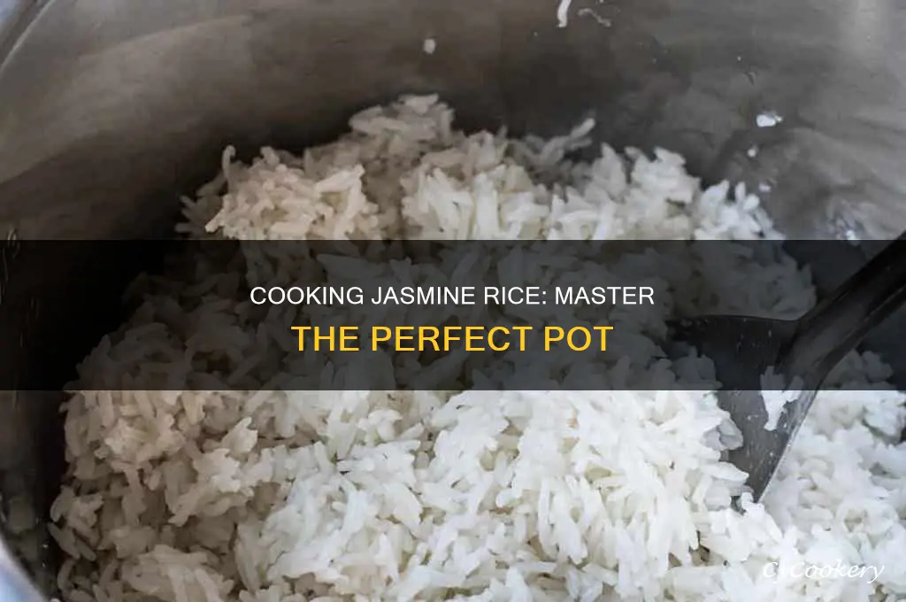 how long to cook jasmine rice in a pot