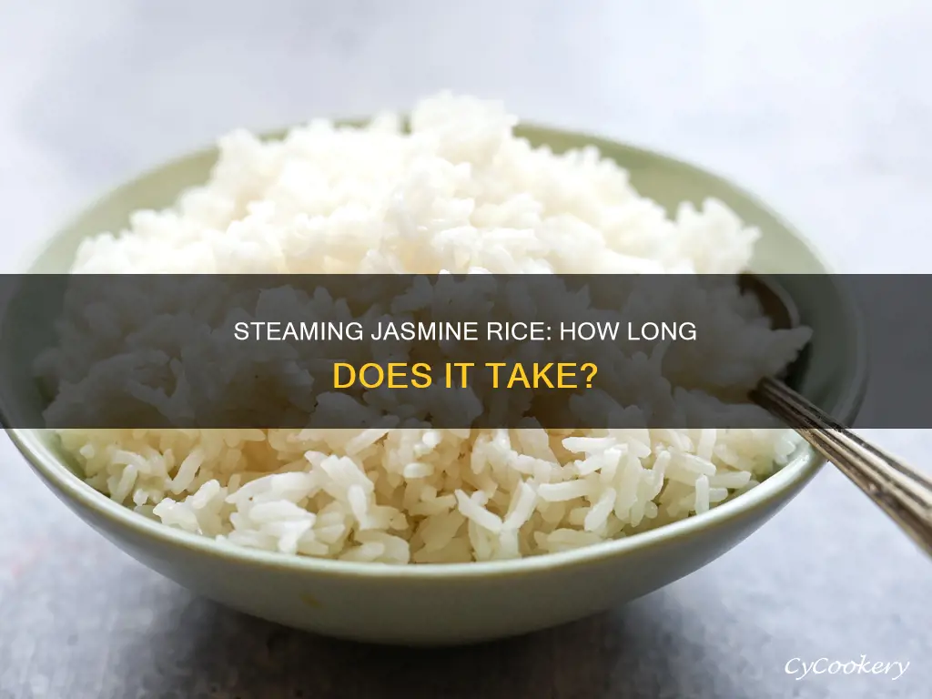 how long to cook jasmine rice in a steamer