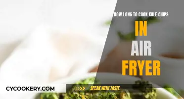Air Fryer Kale Chips: The Perfect Healthy Snack