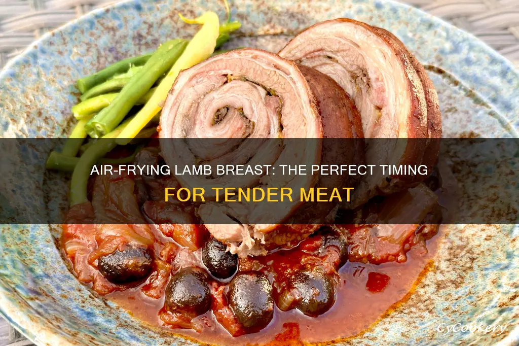 how long to cook lamb breast in air fryer