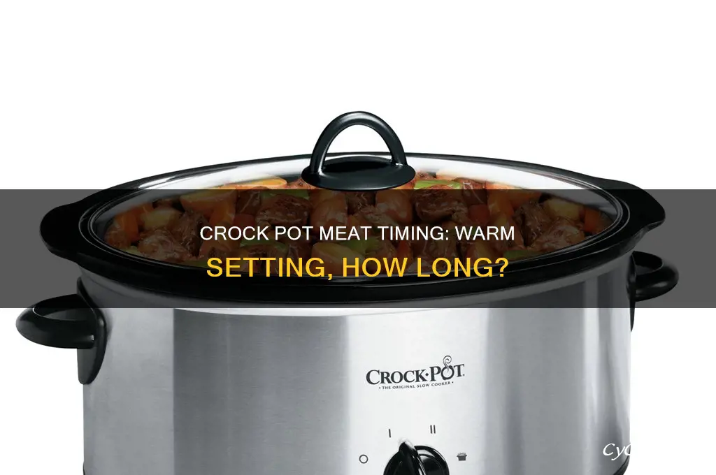 how long to cook meat on warm setting crock pot