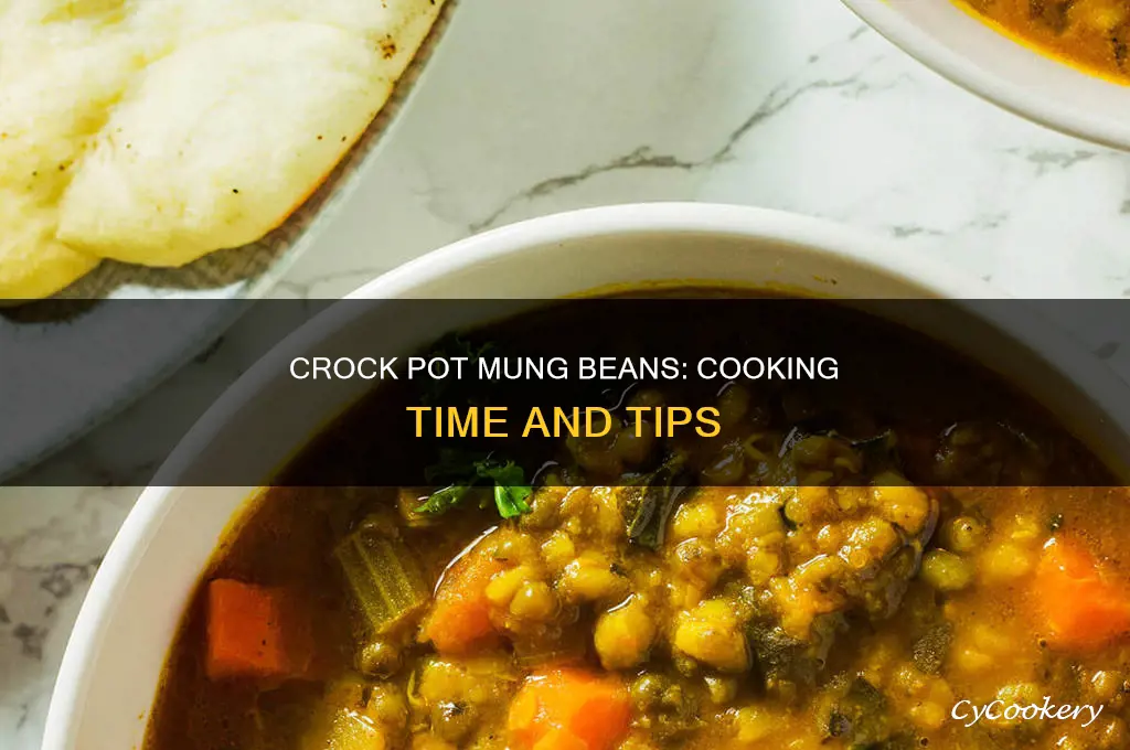 how long to cook mung beans in crock pot