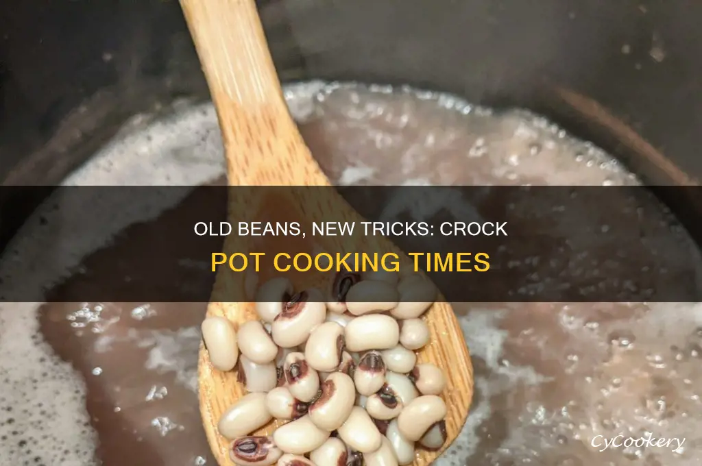 how long to cook old beans in crock pot
